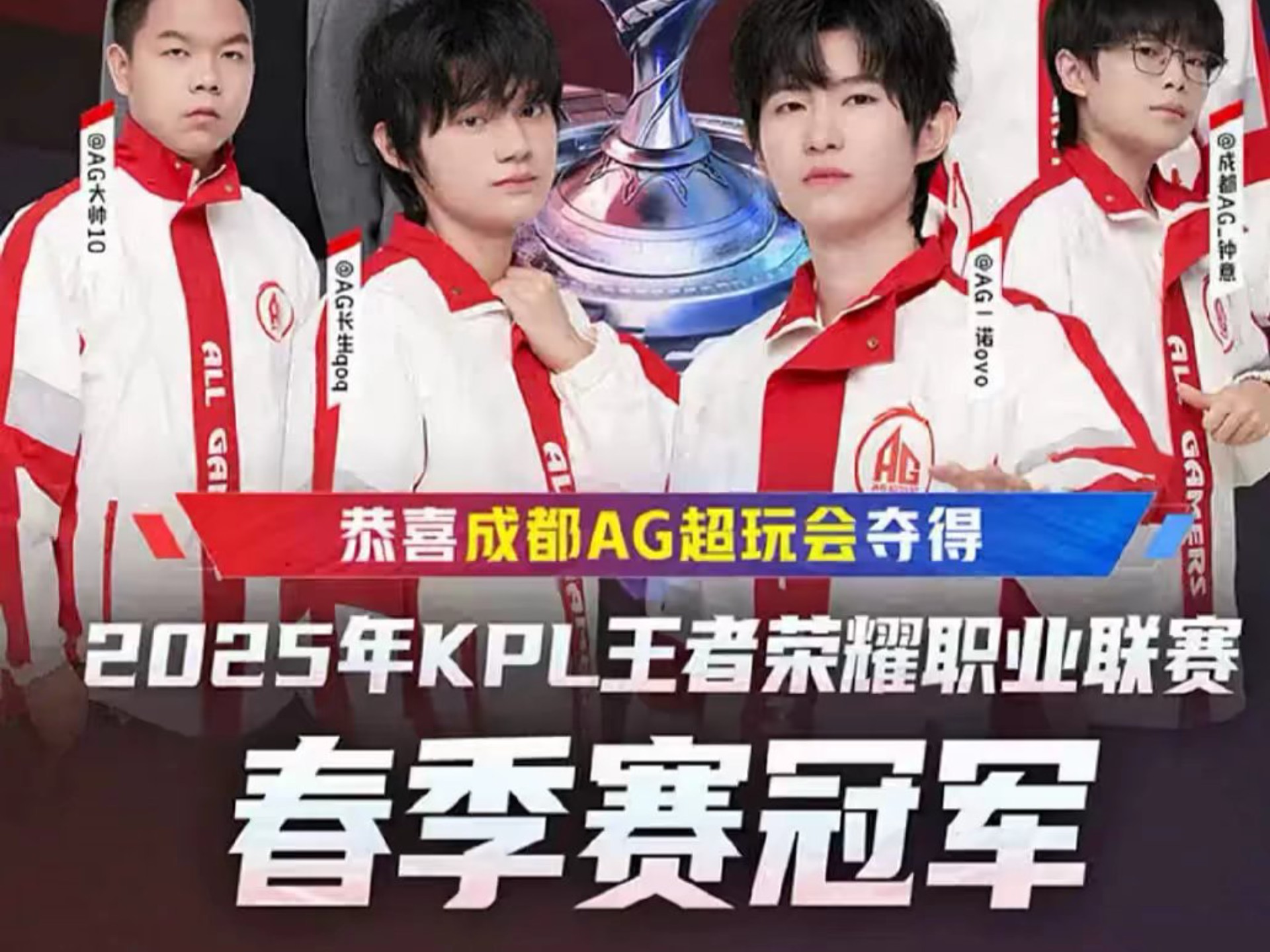 展示的那样 展示的那样